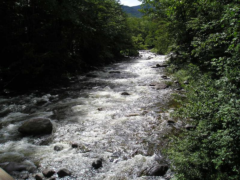 PemiBridgeHike (30).JPG - The rivers aren't usually this high except for spring when all the snows melt.